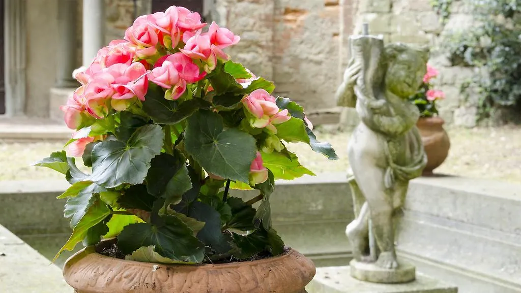 Residenza D'Epoca Il Cassero Lucignano 0*,